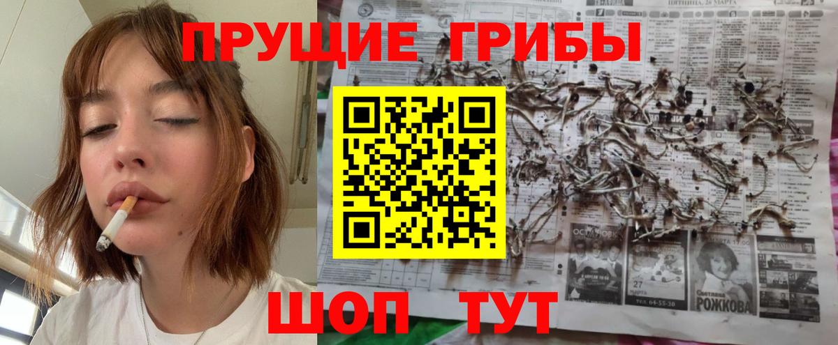Валуйки  где продают наркотики  Вход с VPN  Галлюциногенные грибы Cubensis 