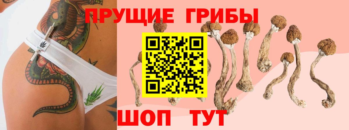 Галлюциногенные грибы ЛСД Валуйки